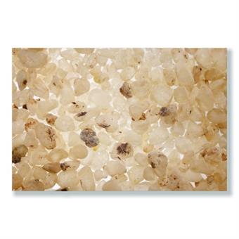 Weihrauch "Dammar" 1 kg 